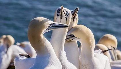 开云：开启未来的云端之旅